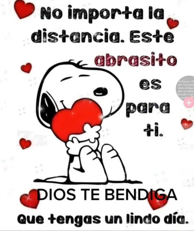 mafermatos's tweet photo. Buenos días mundo!!! https://t.co/cCb8vzRIni