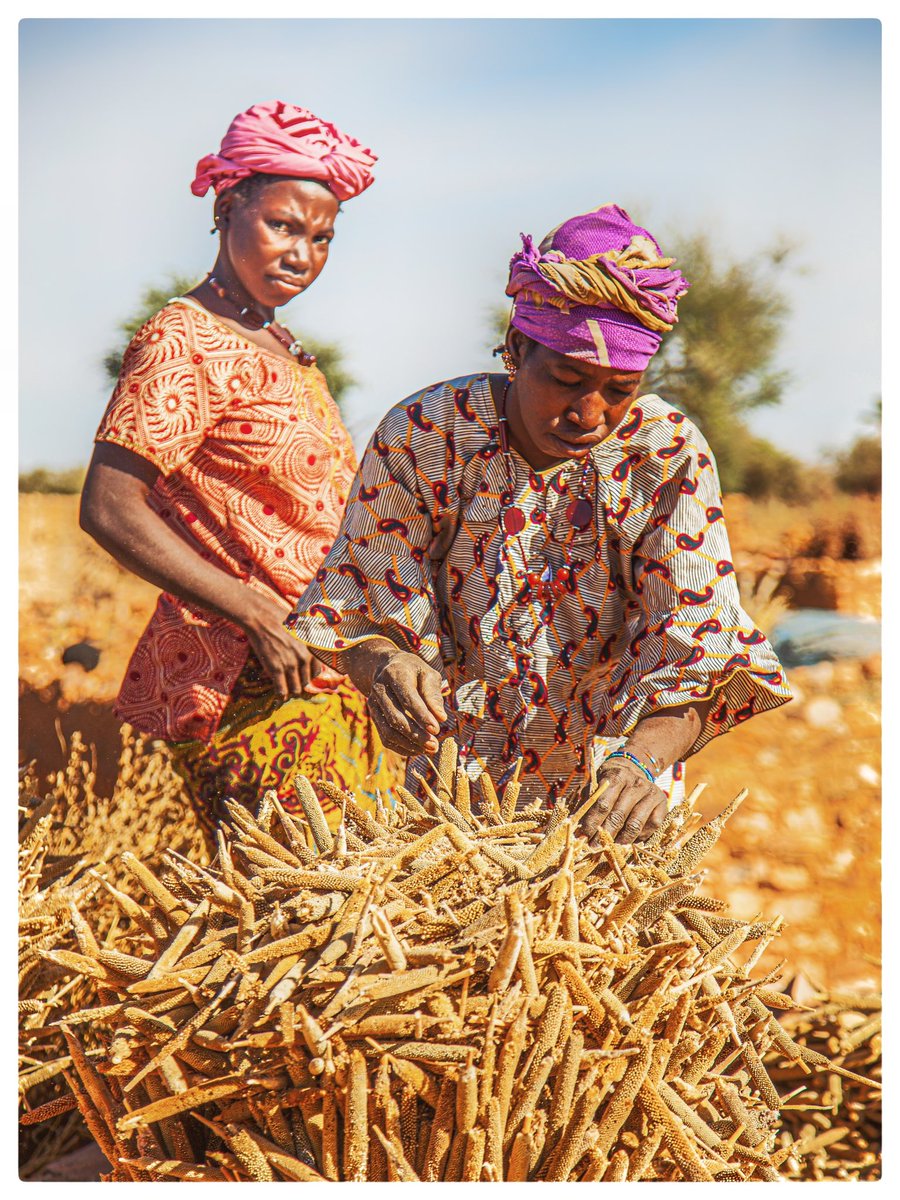 kalapo_moussa's tweet photo. Les femmes rurale occupe une place centrale dans la chaîne de valeur agricole. elles sont des productrices d’aliments et produisent la nourriture saine et de qualité.
#johnkalapo #johnkalapophotographerdocumentary #femmes #rurales #agricultures #productrices #nourrir #village https://t.co/t20uLxz7LM