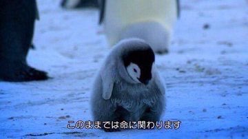 Cur1m_'s tweet photo. https://t.co/AJsrKR4fdB