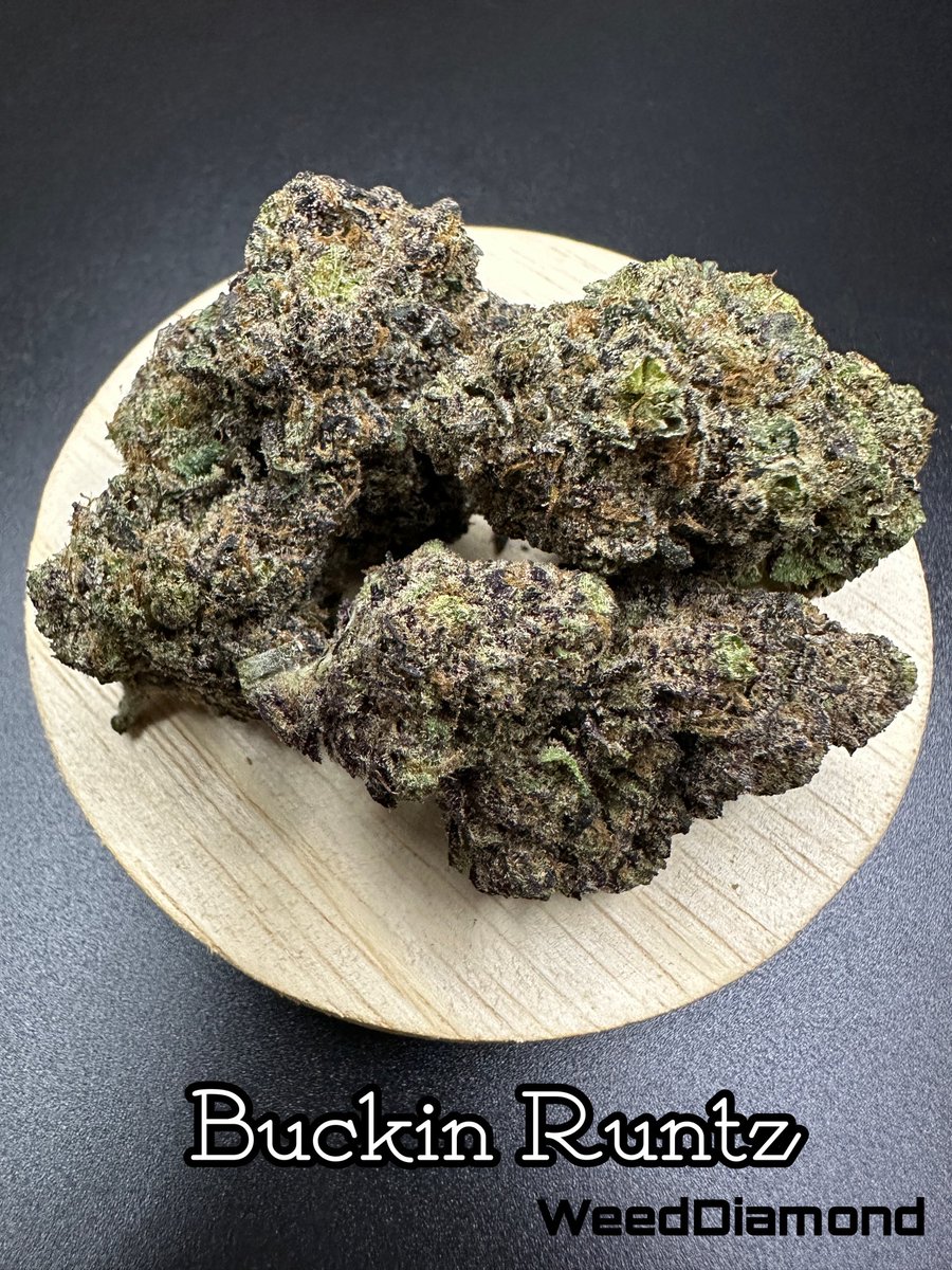 WeedDiamond24's tweet photo. Triple Scoop 
Buckin Runtz
2️⃣2️⃣0️⃣/G
https://t.co/MBbgibRYo0
#กัญชา #กัญชาog #กัญชาออแกนิค #กัญชาราคาส่ง #กัญชาราคาถูก #กัญชากทม #กัญชากรุงเทพ #กัญชาบางแค #กัญชาสาย2 #กัญชาราชพฤกษ์ #กัญชาเพชรเกษม #กัญชาพระราม2 #กัญชากัลปพฤกษ์ #กัญชาหนองแขม https://t.co/CUBXLCLxq4