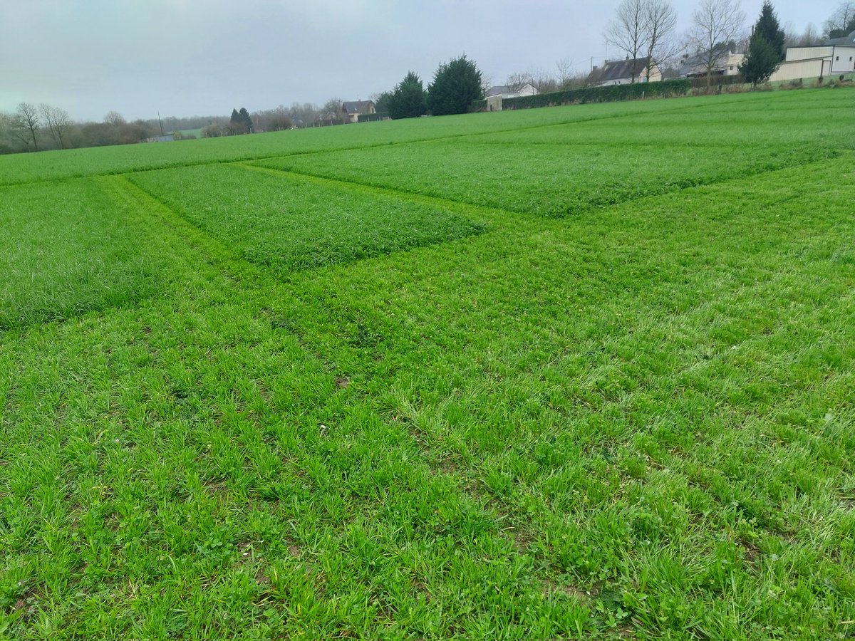 JMDREANO tweet media