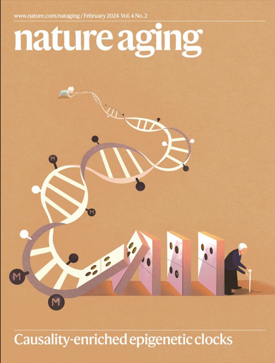 NOMIX_AI's tweet image. Causality-enriched epigenetic age uncouples damage and adaptation. nature.com/articles/s4358… #longevity #bioage #healthspan #lifespan #BIOCOACH