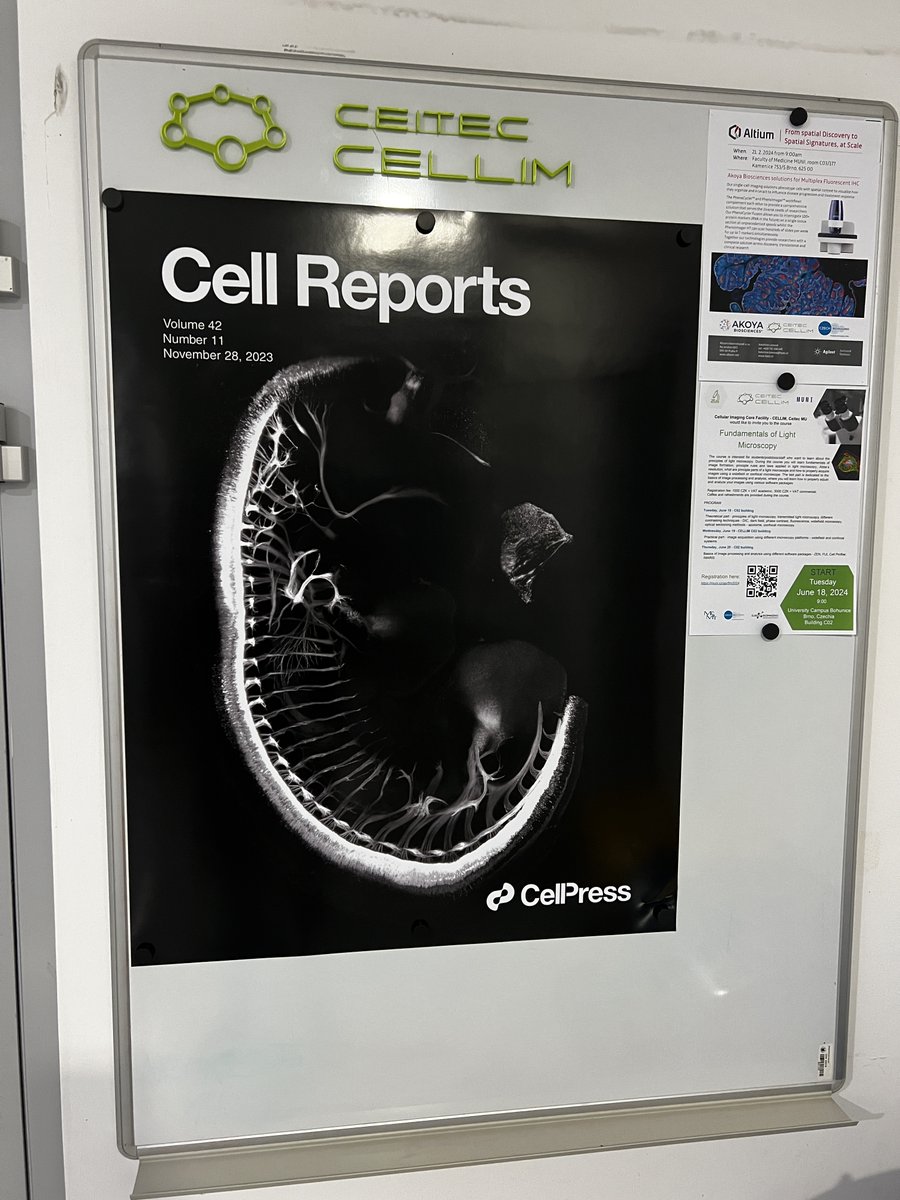 Our new old school analog notice board. With amazing cover picture from our #lightsheet @zeiss_micro 🔬. Fantastic work of @AlcaSalas @KrivanekLab.