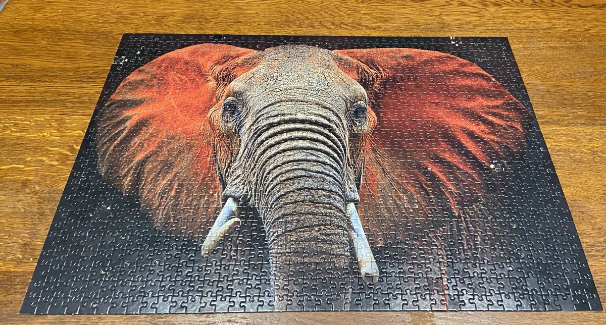 Yippee! We finally finished this extremely difficult puzzle. It has been covered by a tablecloth each night as there is nowhere else larger than the dining table. Don’t think we’ll be doing it again any time soon… 😅 #JigsawPuzzles #ActiveAgeing