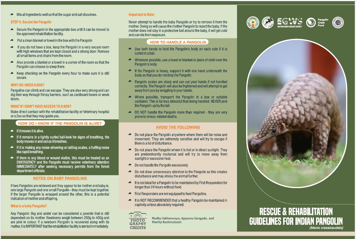 Andhra Pradesh Environment & Forest Department tweet media