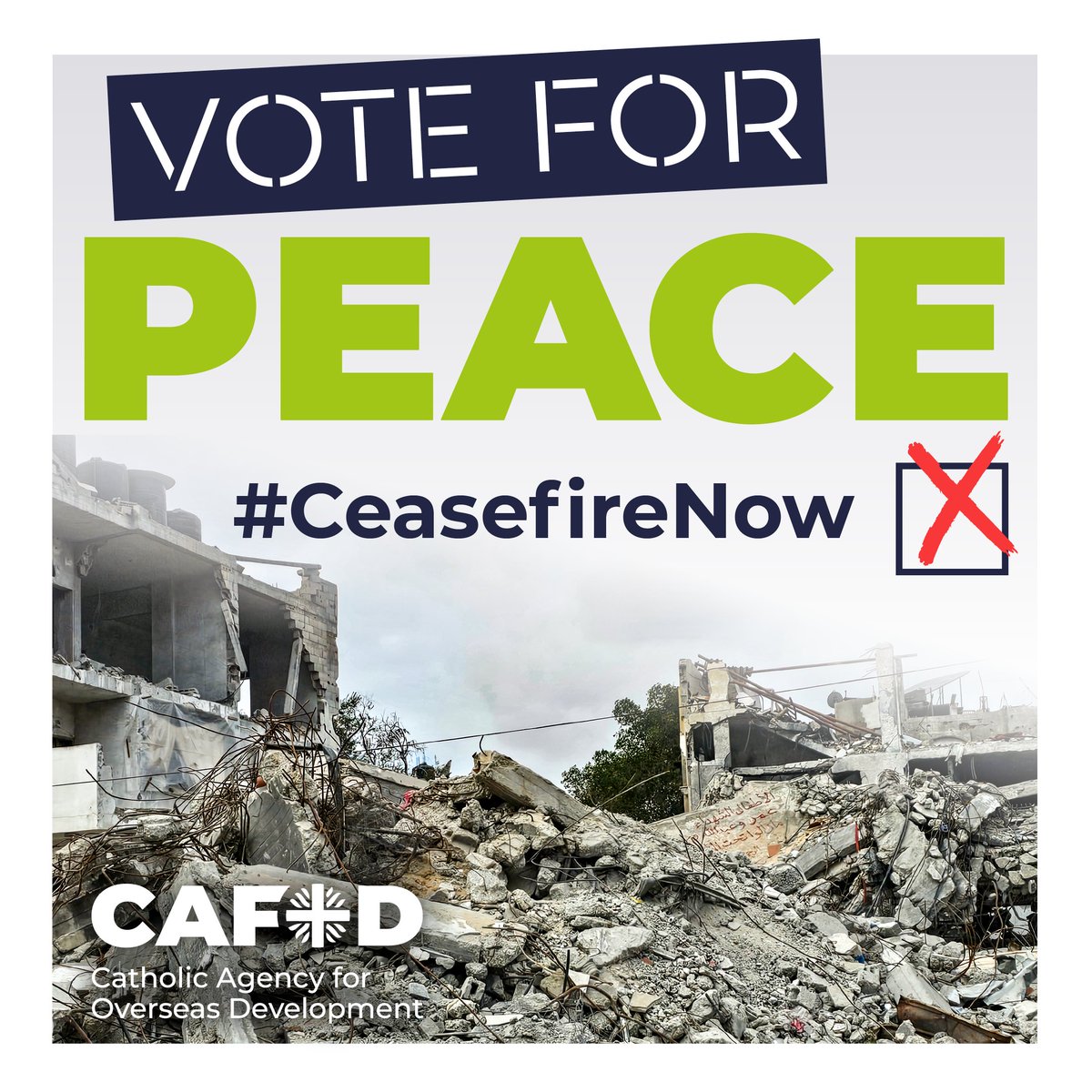 CAFOD's tweet photo. MPs have another chance today to vote for peace.

Every day the war continues, more people will suffer and die.

Share this message with your MP and call for a #CeasefireNOW. https://t.co/hWJK3uPLMF