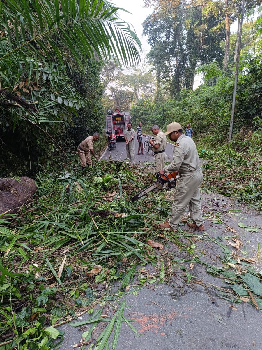 FireService_ANP's tweet photo. On 21-02-24 Fire Fighters of #FSMayaBunder by using Disaster Management Equipments, promptly removed the tree which had fallen alongside High Tension Electricline & obstructed the traffic at National Highway at Kalapahad,M/bunder
Normal flow of Traffic was ensured immediately https://t.co/B69m5NoRlG