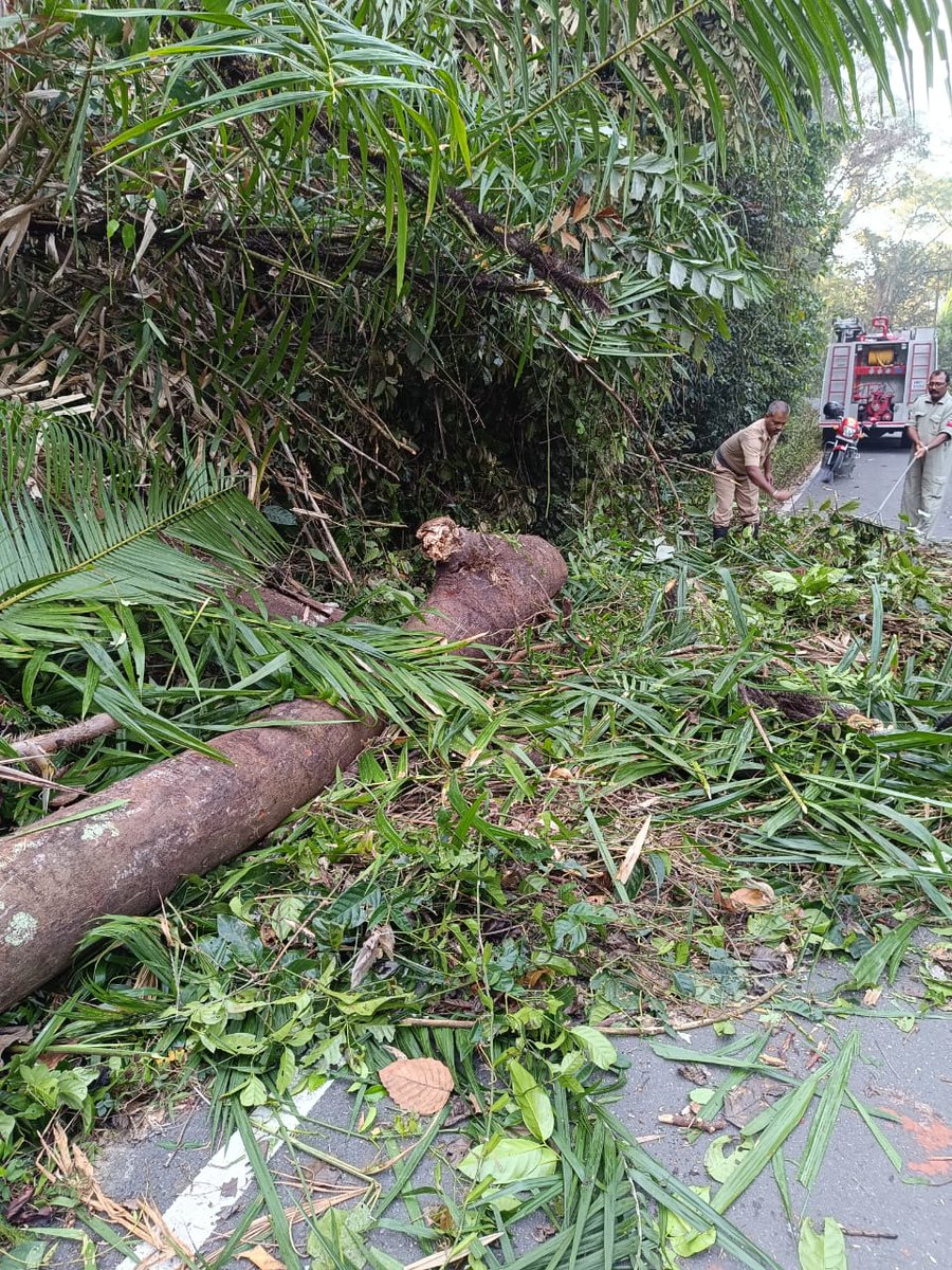 FireService_ANP's tweet photo. On 21-02-24 Fire Fighters of #FSMayaBunder by using Disaster Management Equipments, promptly removed the tree which had fallen alongside High Tension Electricline & obstructed the traffic at National Highway at Kalapahad,M/bunder
Normal flow of Traffic was ensured immediately https://t.co/B69m5NoRlG