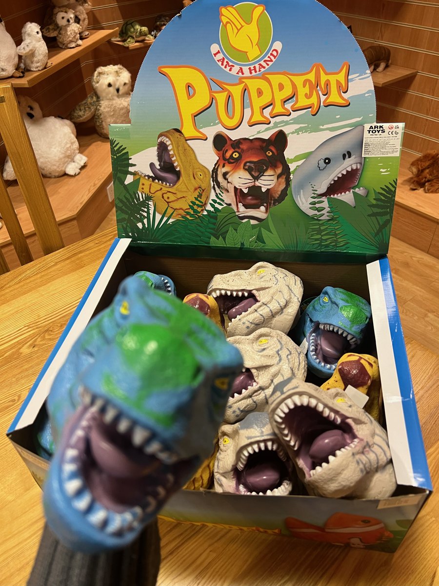 ArkToys1's tweet photo. IT'S DINO TIME !
Here are just a few pieces from our dinosaur range. 
Go visit our website to see much more https://t.co/ICpOxQOECj
#arktoys #arktoysplush #dinosaurs 🦖🦕 https://t.co/hQzRWpoixc