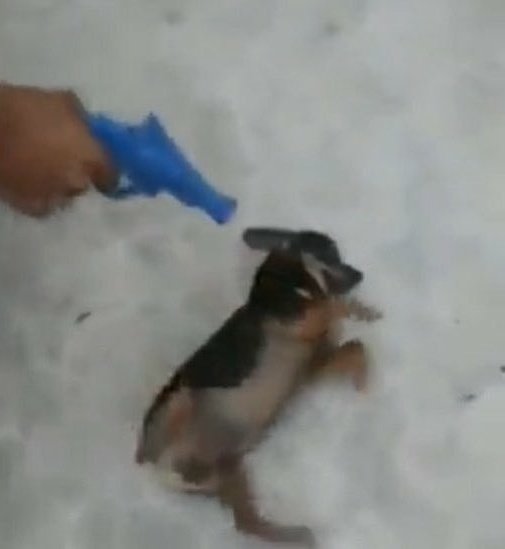 vcuted's tweet image. twitter barrando alguém por ter engajamento