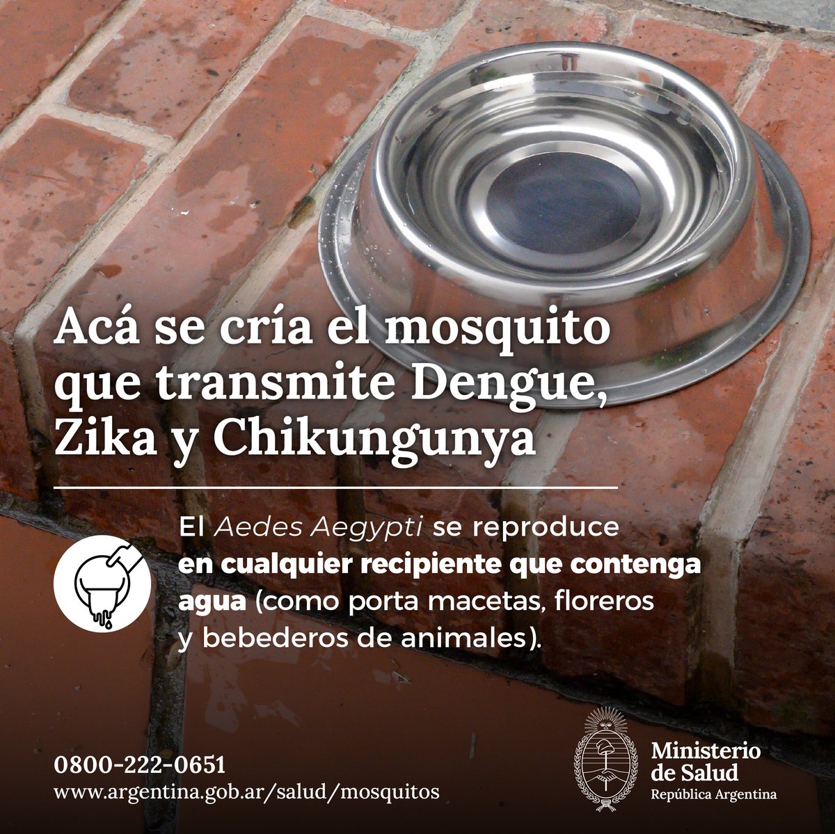 MinSalud_Ar tweet picture