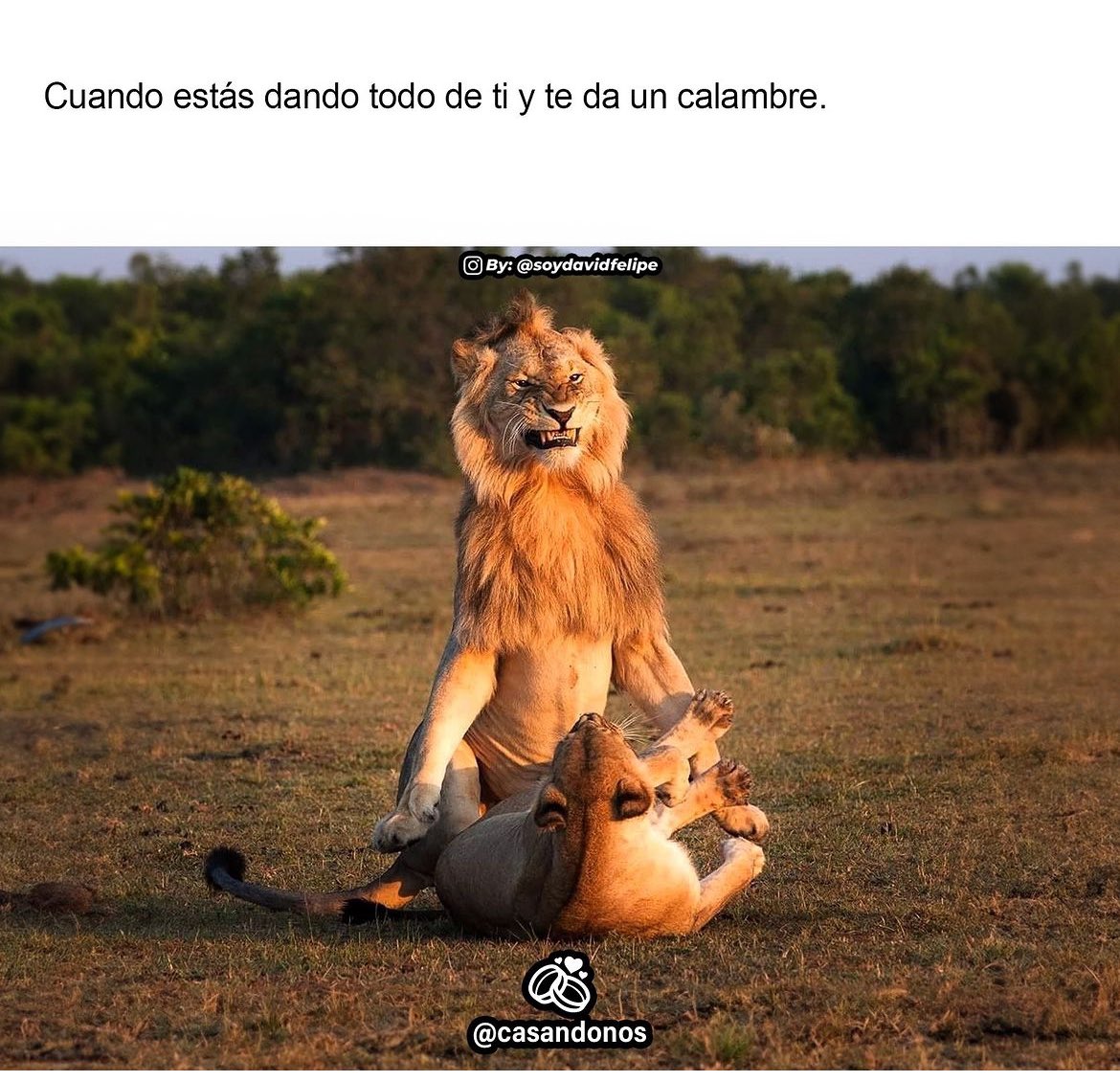 Los de cuarenta pa’ arriba, repórtense 🙄