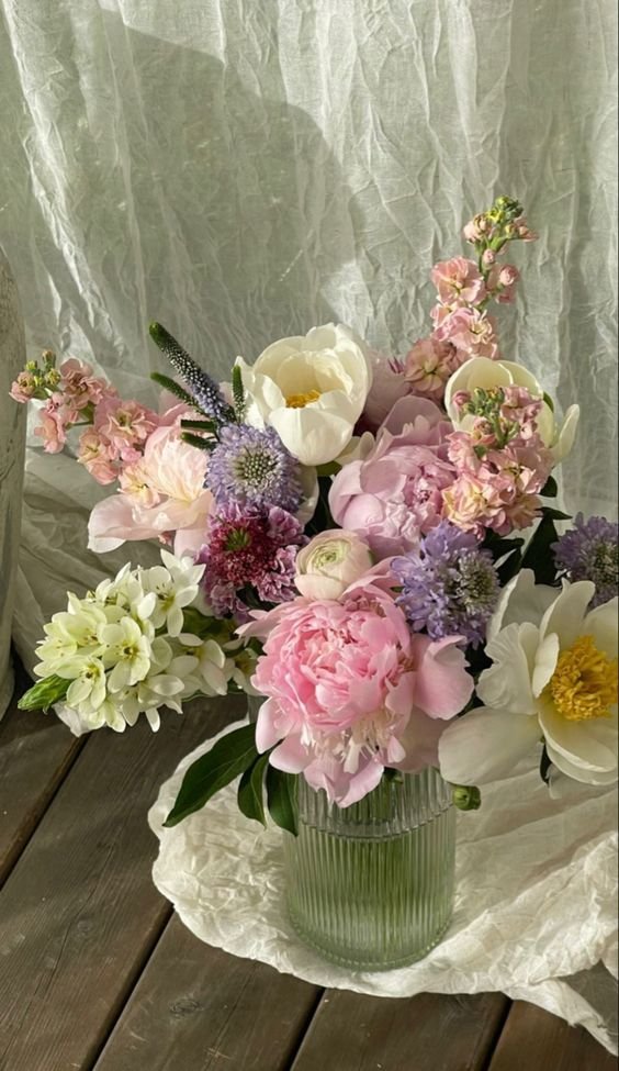 liIacdaisy's tweet photo. spring soon https://t.co/ljYMeMXSOG