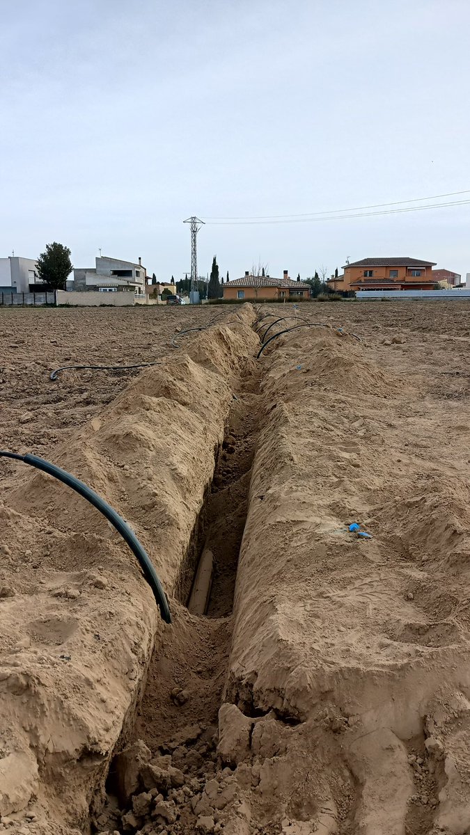 saiga_agro's tweet photo. 💧Muntatge de línia de reg #gotaagota en camp de fruiters. 
#saiga #cadagotaesuntresor #saigaterraiaigua https://t.co/OSxI25gxKL