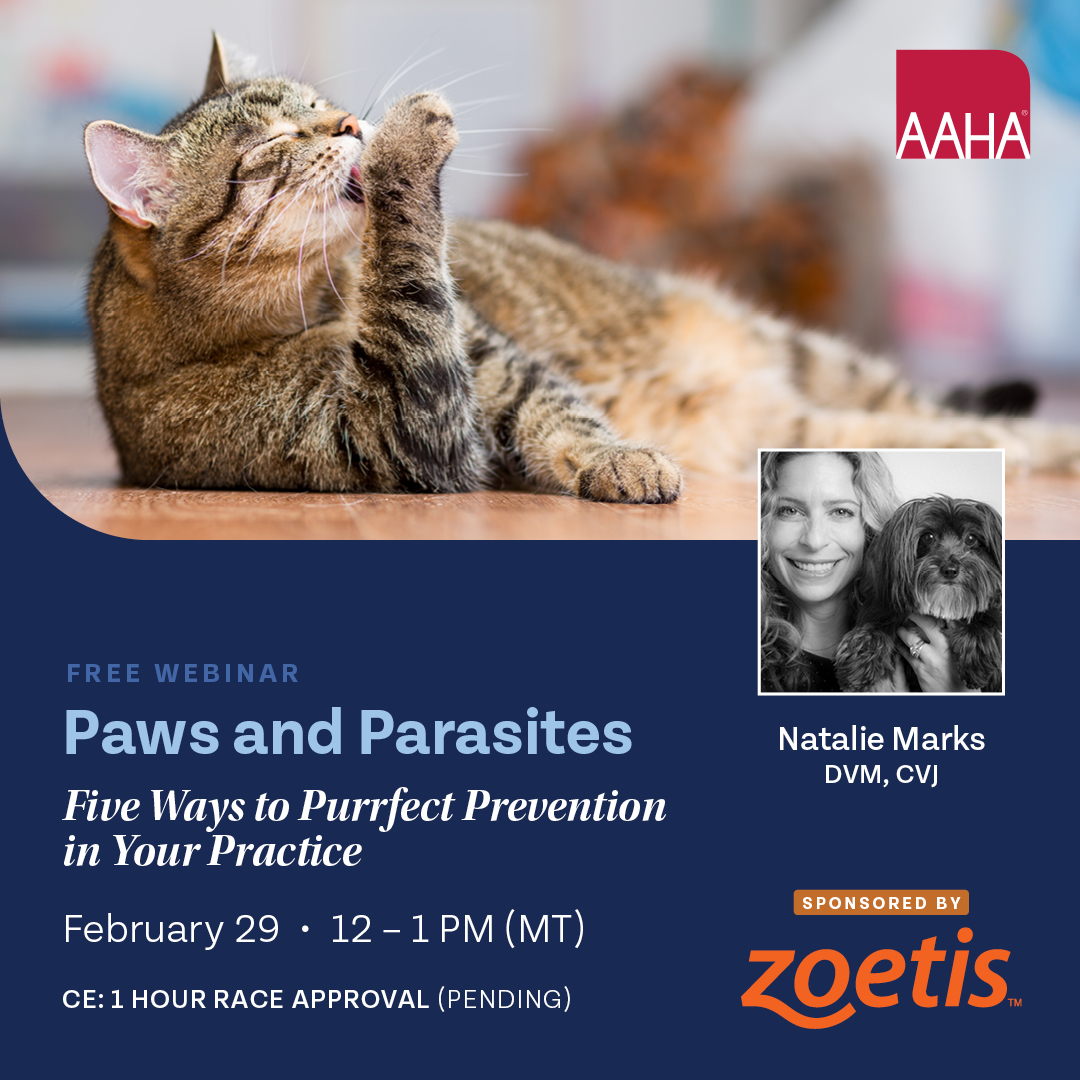 "Paws and Parasites" is just around the corner on Feb 29! Dr. Natalie Marks will share valuable insights on feline parasite prevention. Secure your spot and stay ahead in your practice. 🐾Register today:
hubs.li/Q02lvRMB0