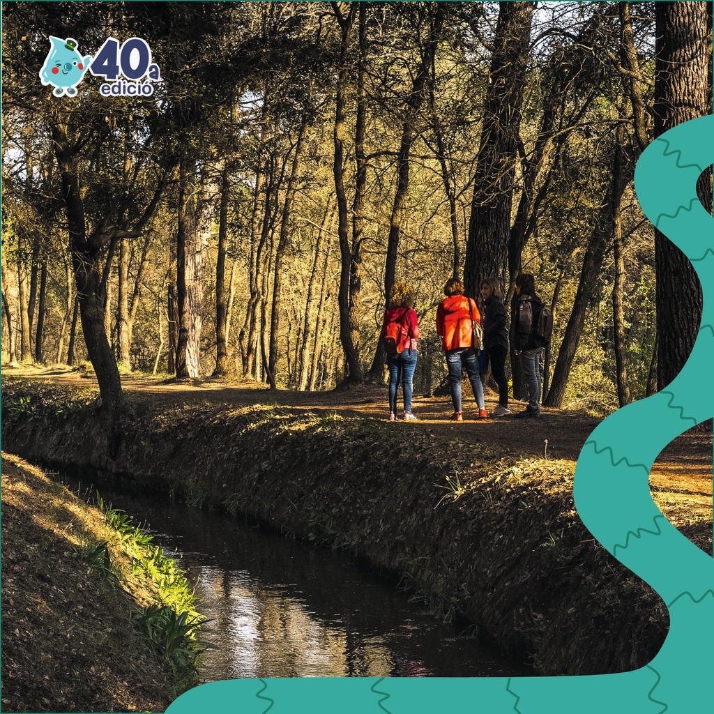 parcdelasequia's tweet photo. Avui, 21 de febrer, és un dia marcat al calendari pels manresans!🌟 És la Festa de la Llum!
La #transequia #TRS24 és una de les accions festives per commemorar aquest gran dia! No t'ho pensis més i participa-hi!
Us desitgem una molt bona Festa de la Llum!
📸GPortabella https://t.co/B26ApdChic