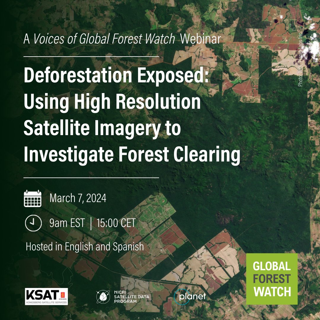 Global Forest Watch tweet media