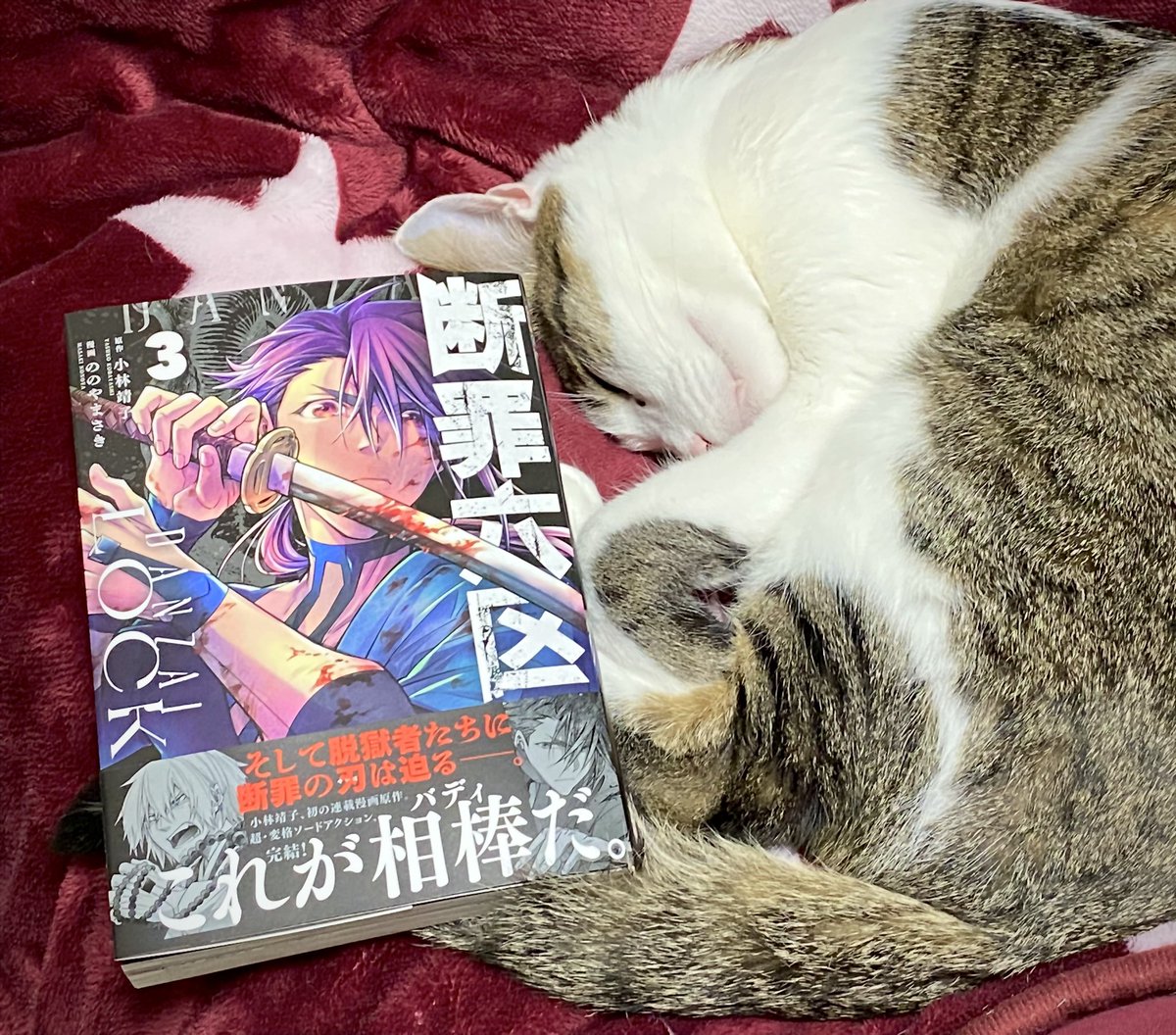 nonoyamasaki's tweet photo. 断罪六区3巻(最終巻)明日発売です!
私の手元にもコミックス本日届きました。本屋さんにない場合は注文で取り寄せていただけましたらと…!どうぞよろしくお願いいたします! https://t.co/pGGdOMnuyN