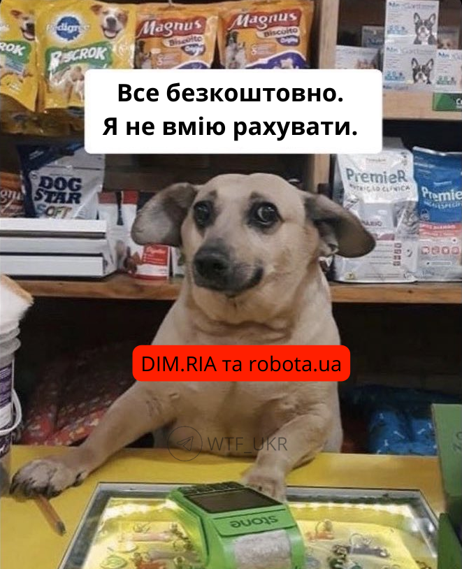 WTF_ukr tweet media