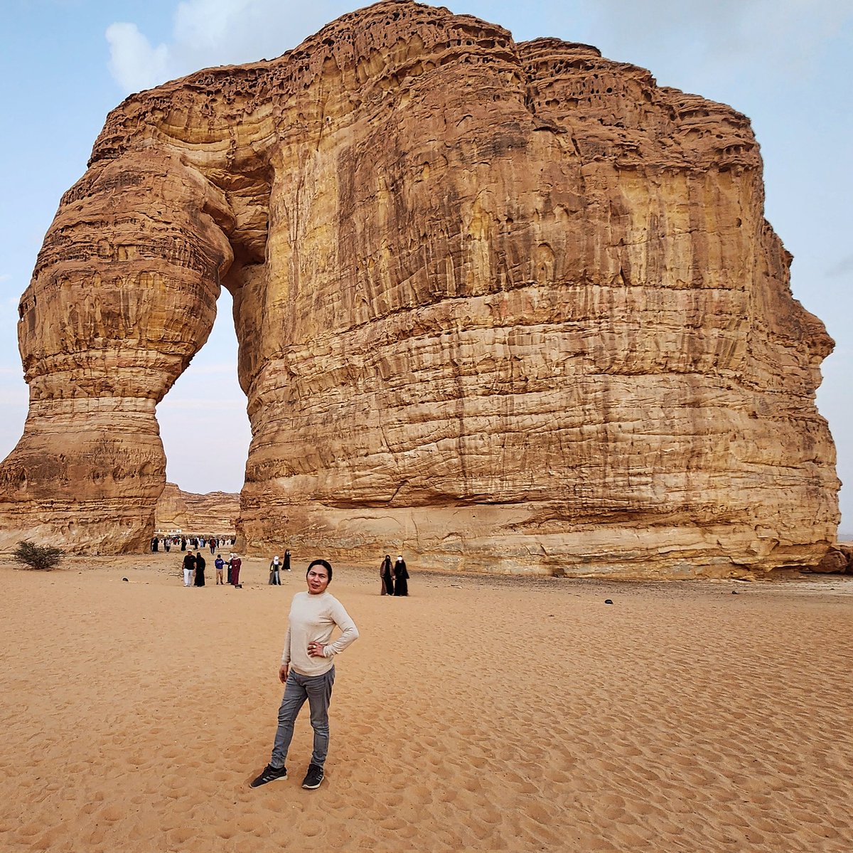 rustymacalua's tweet photo. Elephant Rock at alULa Saudi Arabia https://t.co/CBIIIFFa4C
