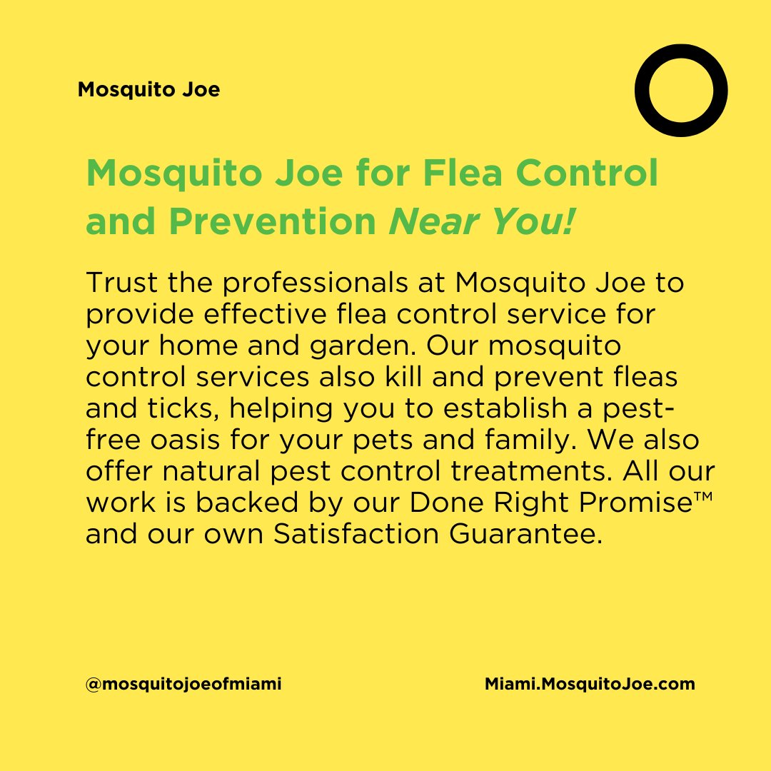 Mosquitoes aren't the only thing that bite and itch....😭

Fleas are tiny, but pack a powerful punch 👎

What are some remedies you use to either prevent or get rid of fleas in your yard? 🤔

#mosquitojoe #mosquitojoemiami #fleacontrol #professionalpestcontrol #floridalife