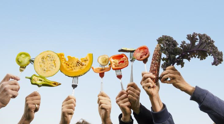 OrganicsEurope's tweet photo. Today at 4PM, EU seed initiatives will hold a demo in favor of seed diversity during which seeds of selected endangered varieties will be handed to MEPs.
Curious? Join them in Place du Luxembourg!
Can't be there? Sign the petition for a 🆕 fair #SeedLaw 👉 https://t.co/r9Sgy0kU45 https://t.co/pWhmRRbFqi