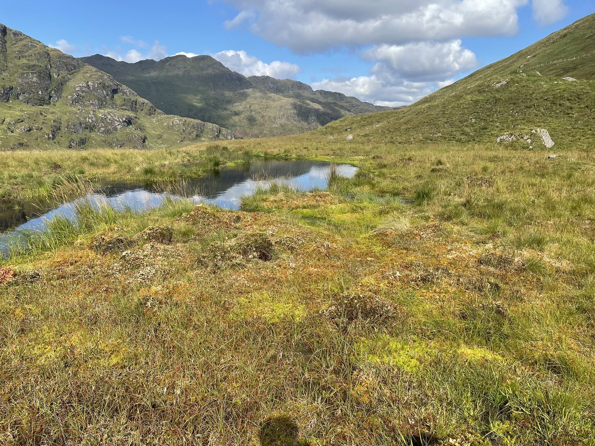 Joshua Styles tweet media