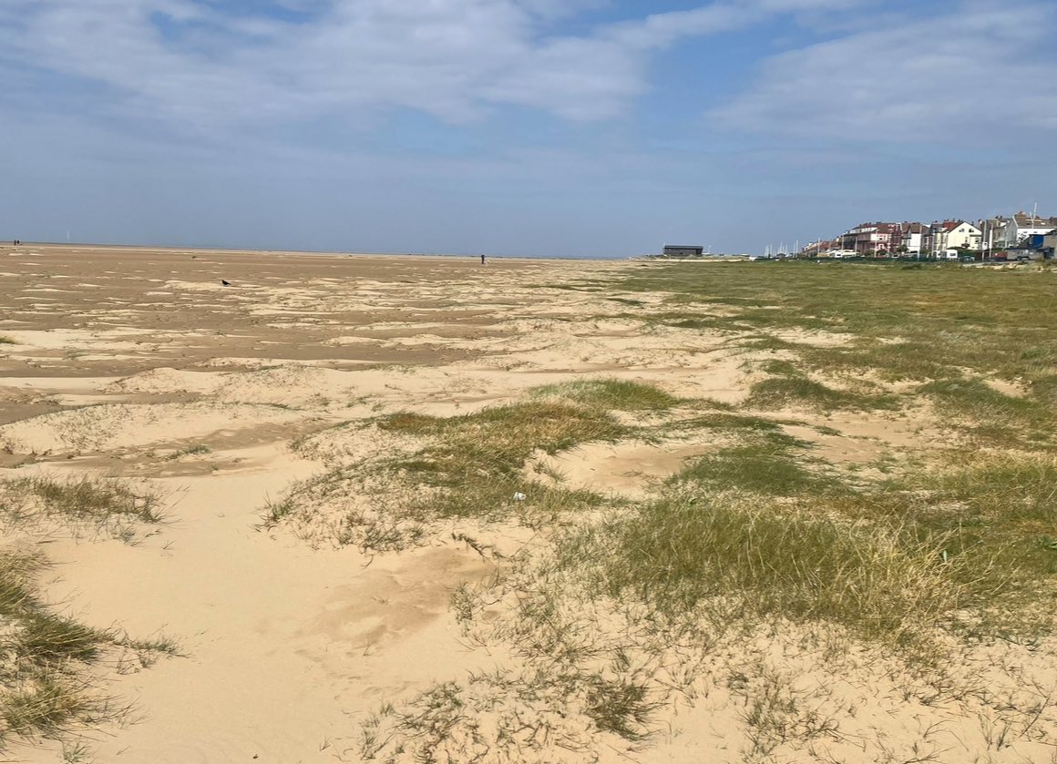 Joshua Styles tweet media