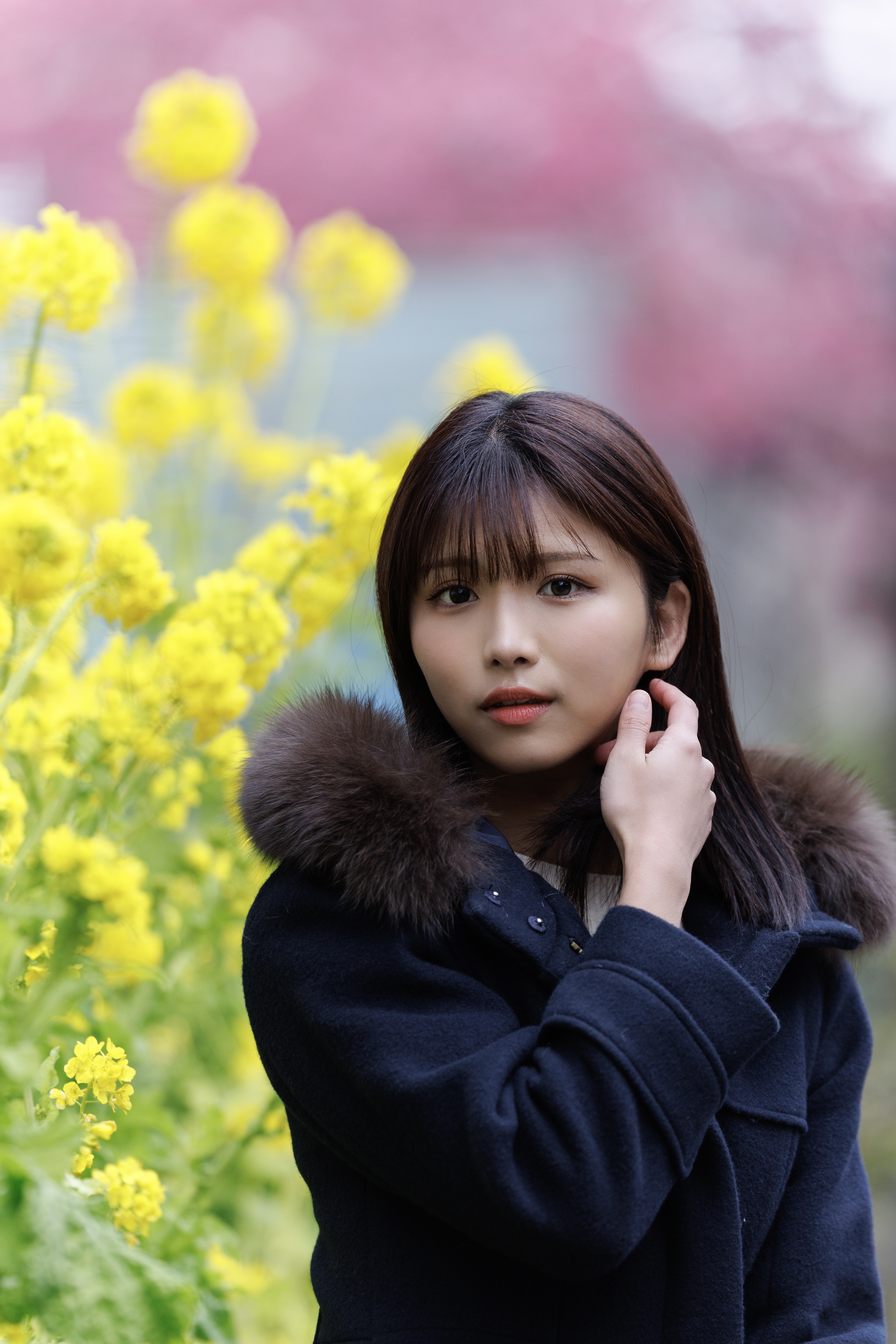 ゆうかページ ノッポ1867 على X: 