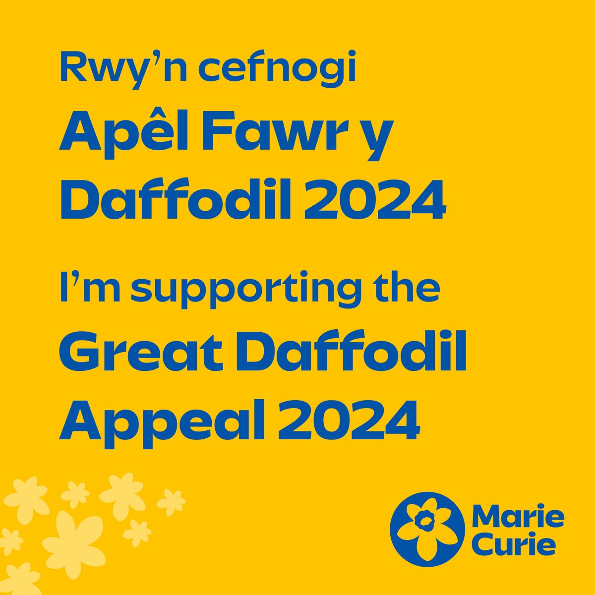 It was great to be able to be at the launch of the 2024 @MarieCurieCymru #GreatDaffodilAppeal yesterday at the Senedd. 

Important to hear from long-term supporter @JaneHutt, and have the chance to meet with so many of the great volunteers and @MarieCurieCymru team.