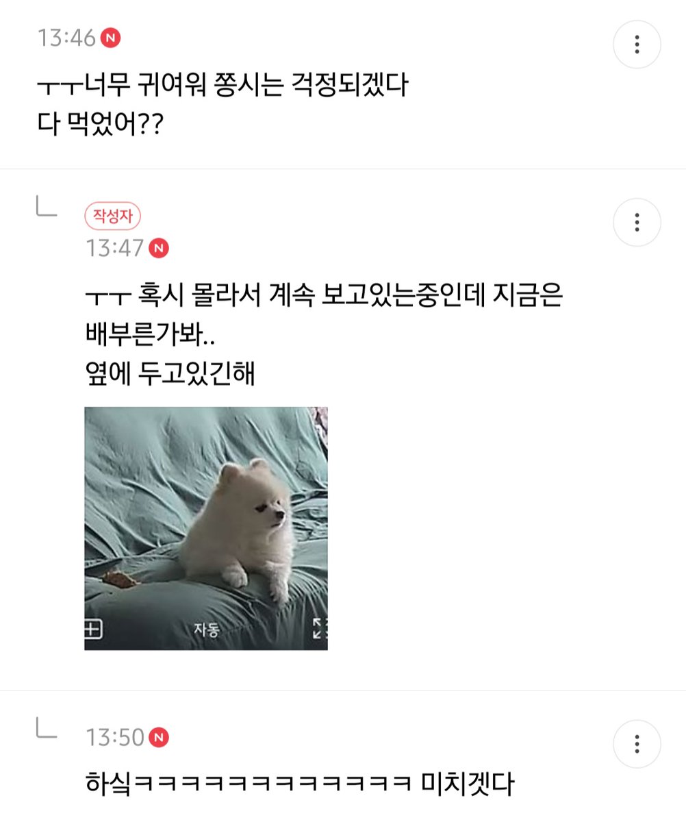 malrang_s_'s tweet photo. 회사에서 일하다가 집 cctv보고 반차쓸뻔한 사람 https://t.co/Ry1NaIO7Ap