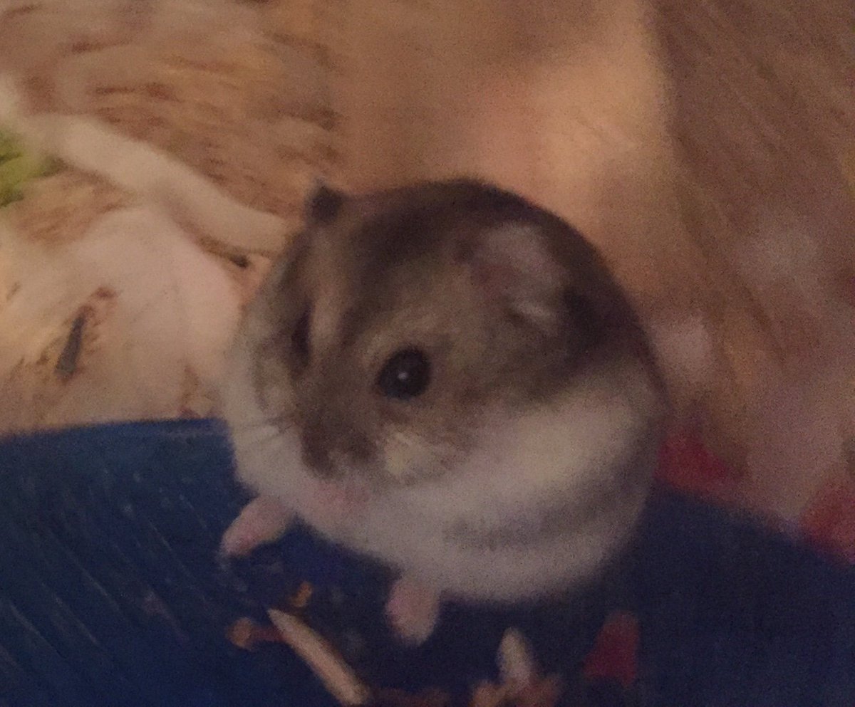 claredulune's tweet image. My son passed away last night