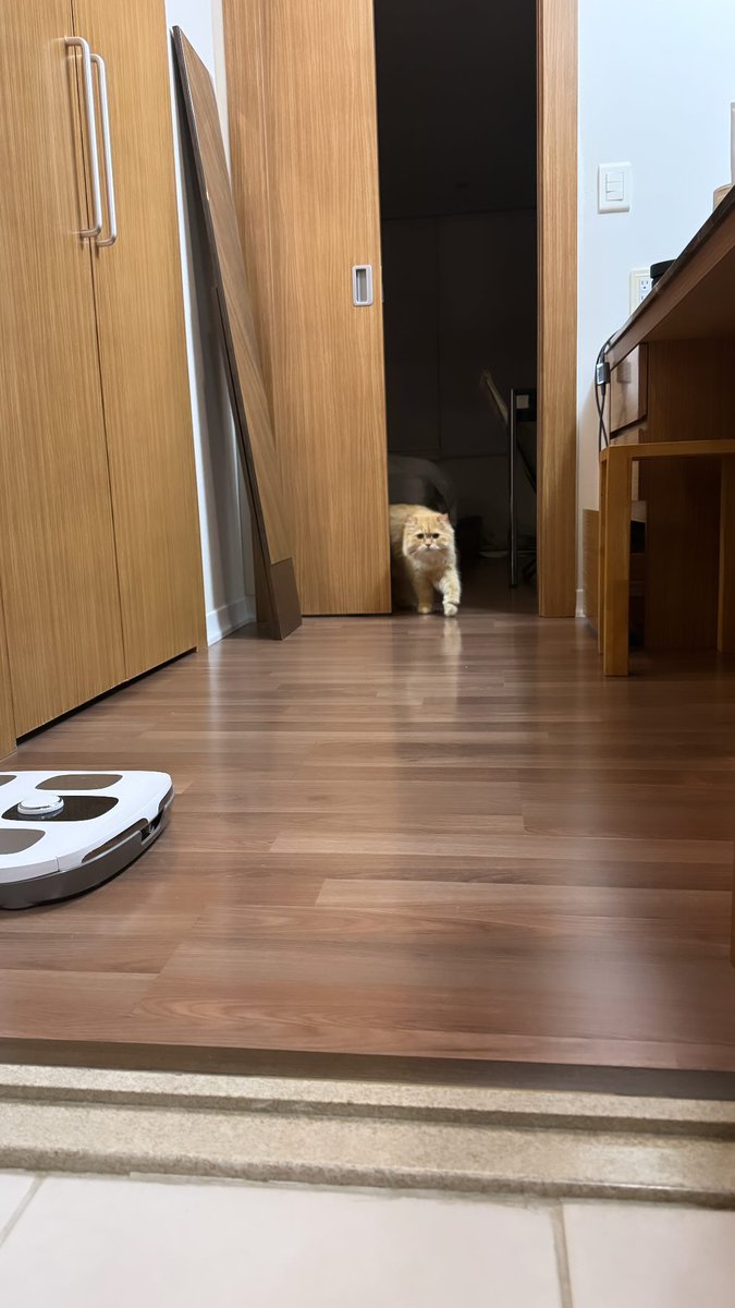 [IG Story✨] 210224 : Code Kunst เพิ่มรูปภาพของชิรุลงบนสตอรี่ค่ะ 

#코드쿤스트 
#CodeKunst 
#AOMG