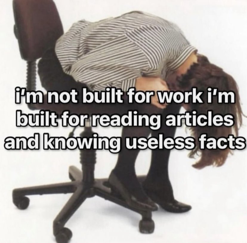 ✧ tweet media