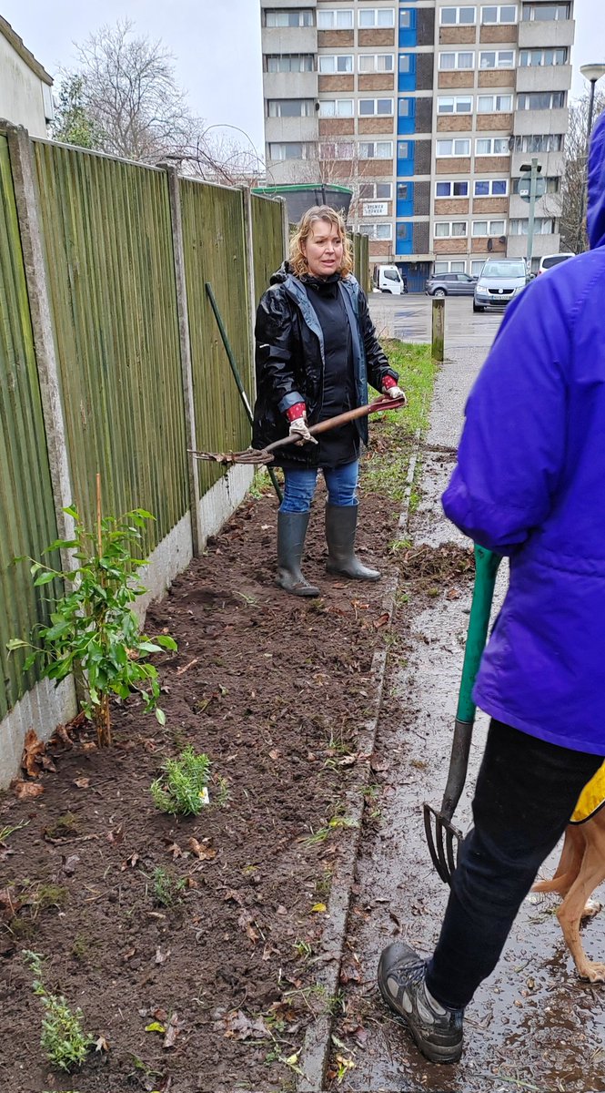 Community action from Mile Cross green hearts with Norfolk Wildlife Trust litterpicking and planting in Hedgehog Alley despite the rain. Unfortunately @NorwichCC won't provide a bin for this area to encourage people to dispose of their litter.