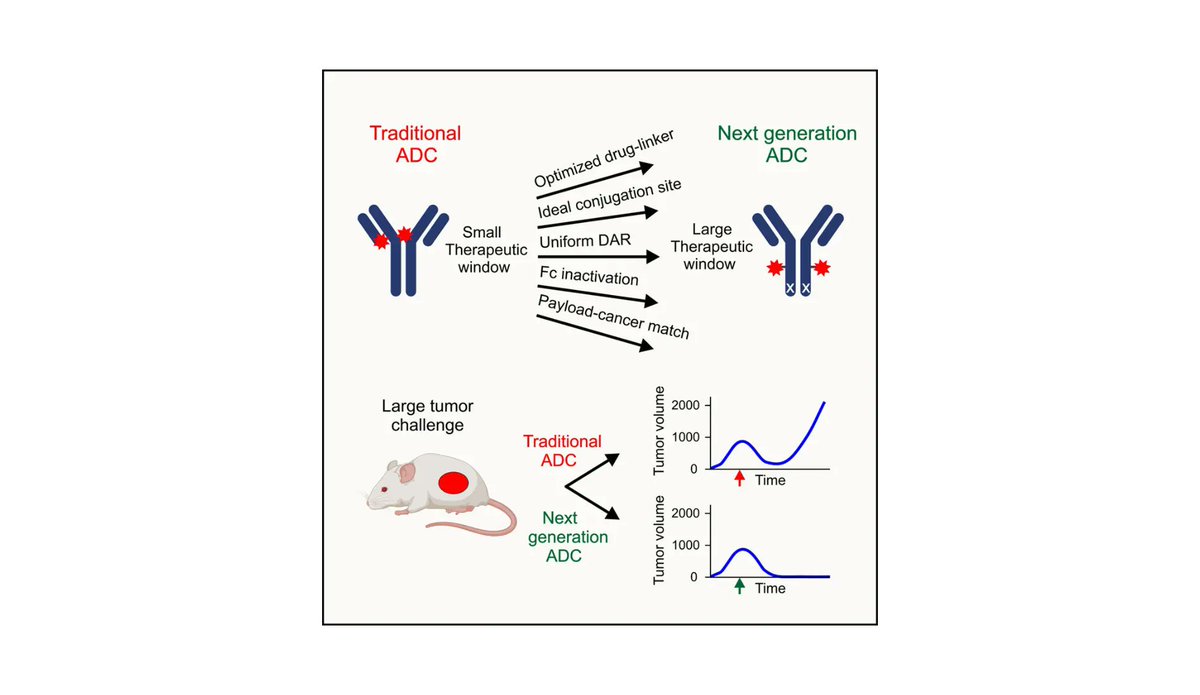sciencefeatured's tweet photo. New Precision Cancer Therapy Targets Hard-to-Treat Tumors - https://t.co/6XZKOiBdqG #breakthrough #targetedtherapy #precisionmedicine #cancertreatment #solidtumors #sciencefeatured #sciencenews https://t.co/mAym0Sfe0U