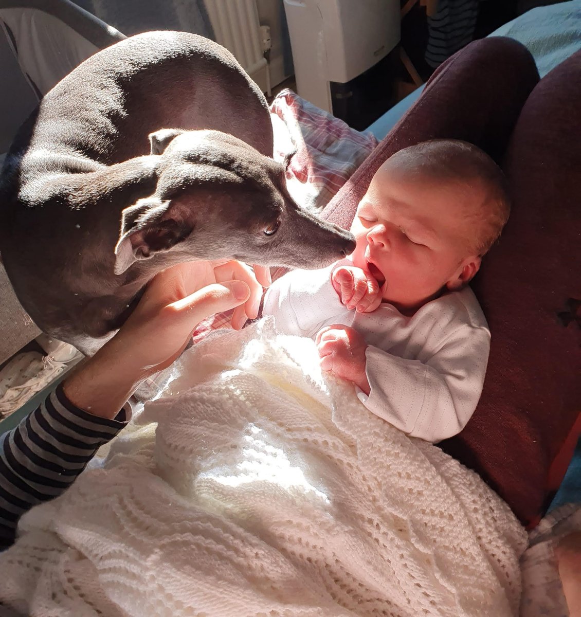 Chris Bratt tweet media