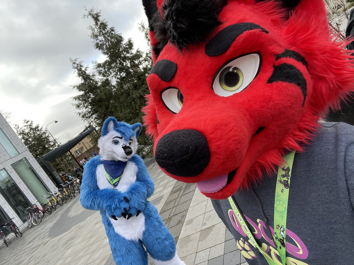 Also found a cute woofy!