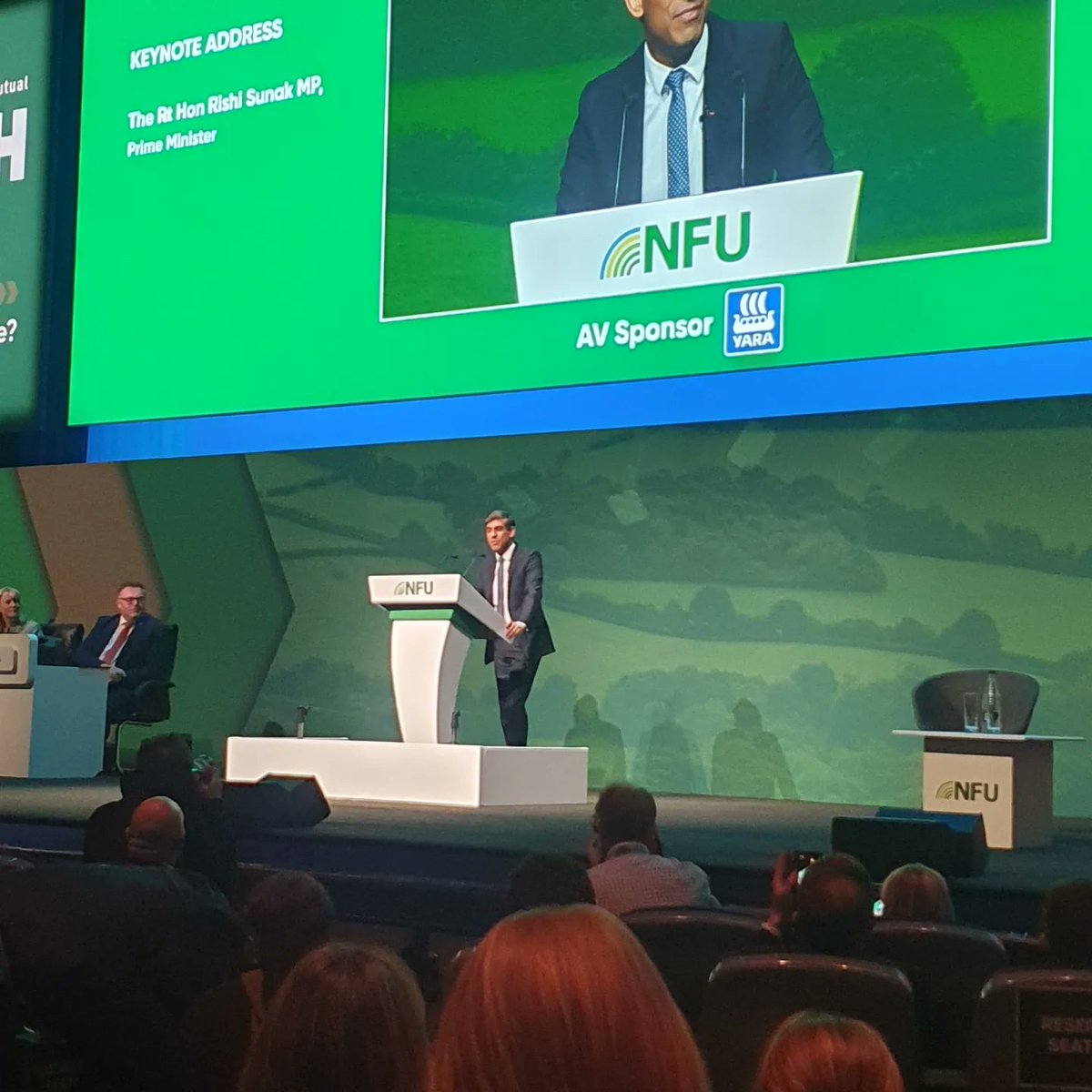 Niff Whitton tweet media