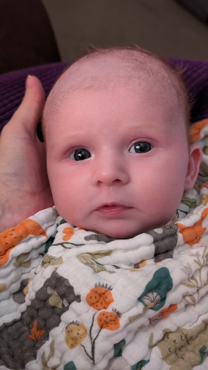 GlitzyPhoenix's tweet photo. Who dis! First stream as a mum to this little princess, almost 5 weeks old already I still can't believe it!

This is Harley 🥰😍

https://t.co/eRf19WZ3EN

Happy Humpday  💜 https://t.co/DdY8IdnPjW