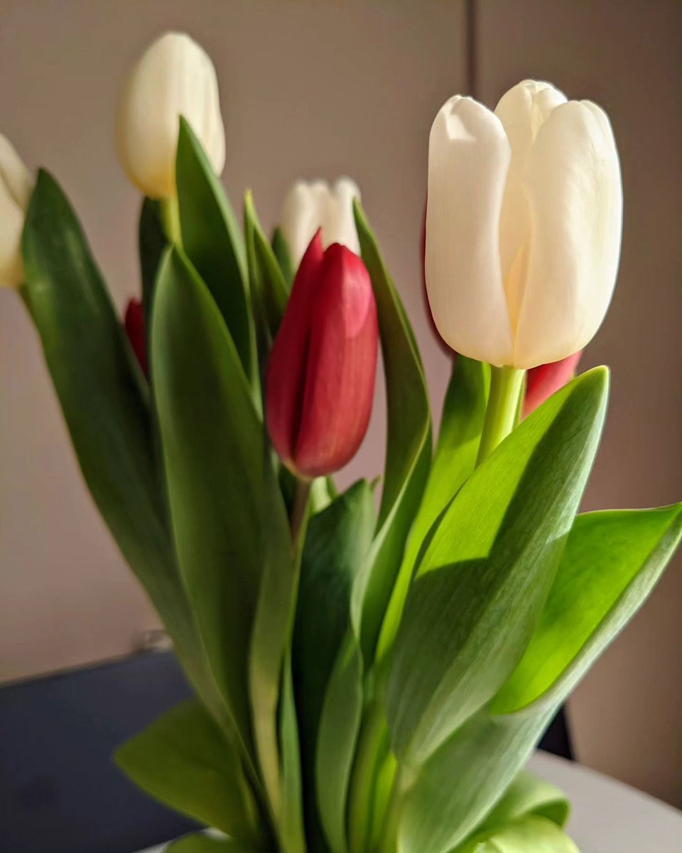 Celestine_DF (@dfcelestin3892) on Twitter photo 