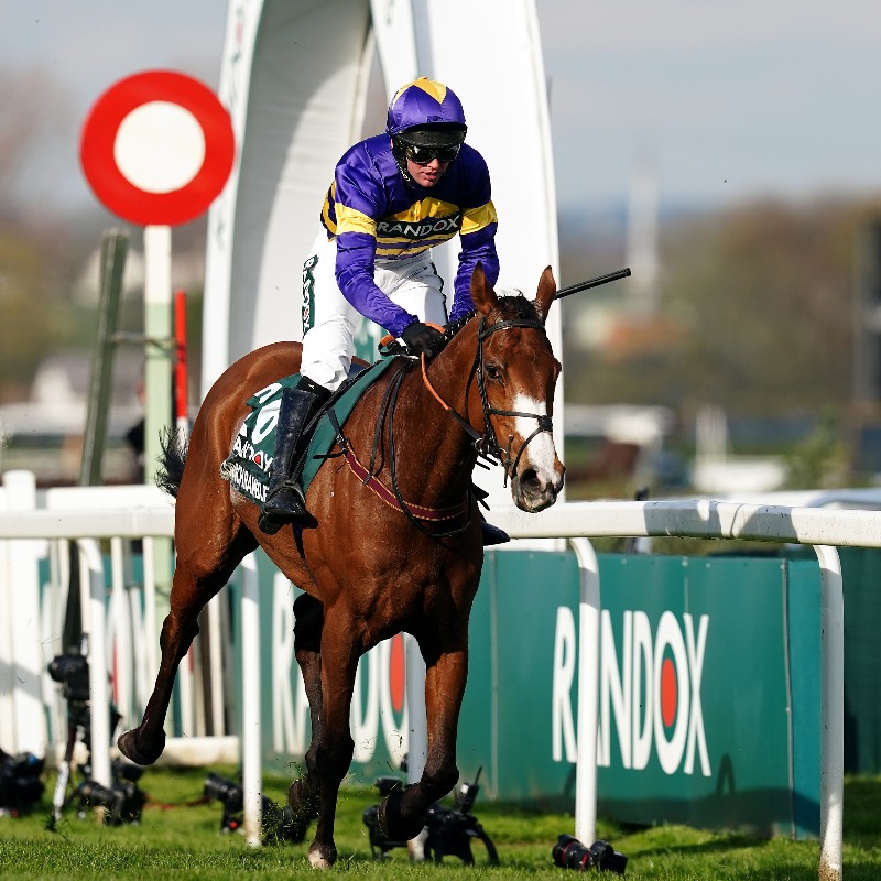 AtTheRaces's tweet photo. "He has a perfect 3/3 record at Cheltenham!"

Find out who @HuntyCaller is going with in the Gold Cup against the favourite Galopin Des Champs...👇