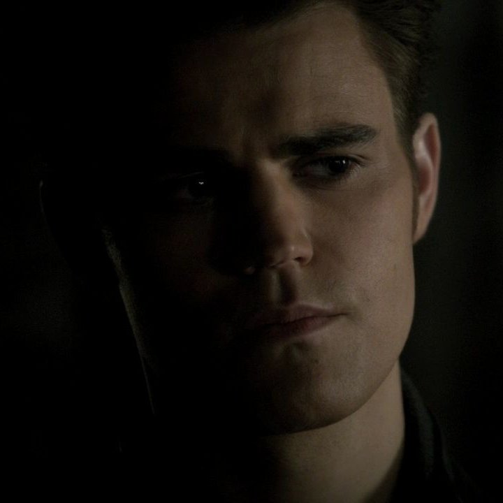 I hate how people, including the characters and especially Caroline, sweep everything bad that Stefan did to Elena under the rug.