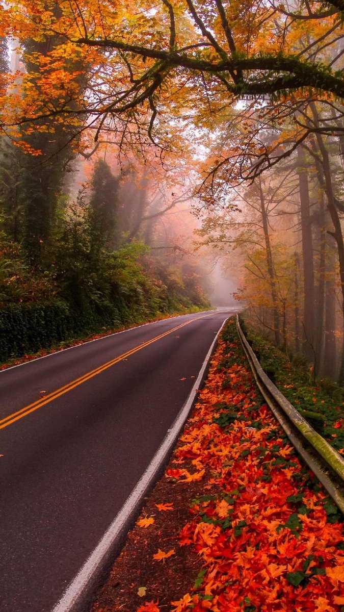 A_my (@amy249422177844) on Twitter photo 