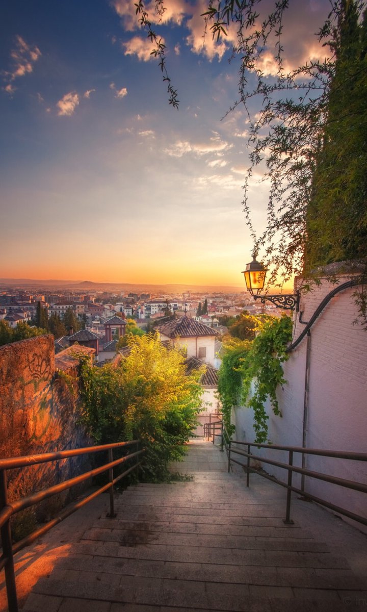 Babiana (@babiana165167) on Twitter photo 