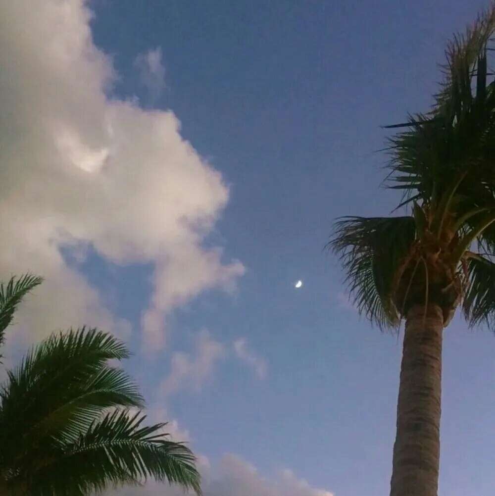 en_ee (@enee925880) on Twitter photo 