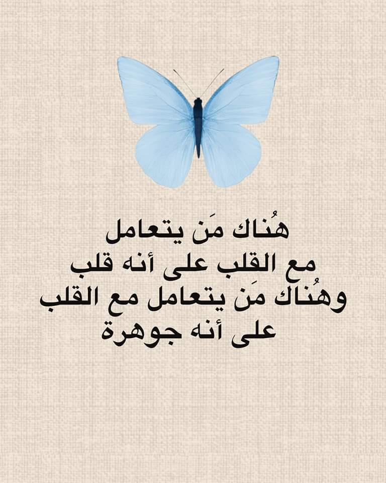 هُناك مَن يتعامل مع القلب على أنه قلب
وهُناك مَن يتعامل مع القلب على أنه جوهرة
هُناك مَن يراك مُجَرداً
وهُناك مَن يراك قيمة له
هُناك مَن يرى دمعاتك مجرد مِلح وماء
وهُناك مَن يرى دمعاتك كارثة طبيعية
هُناك مَن تَحتمى به
🥀🥀🥀