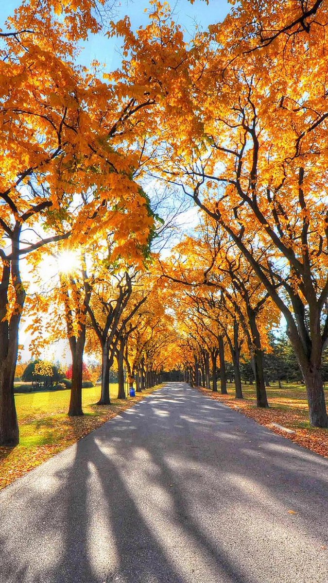 Leauthan (@leauthan37247) on Twitter photo 