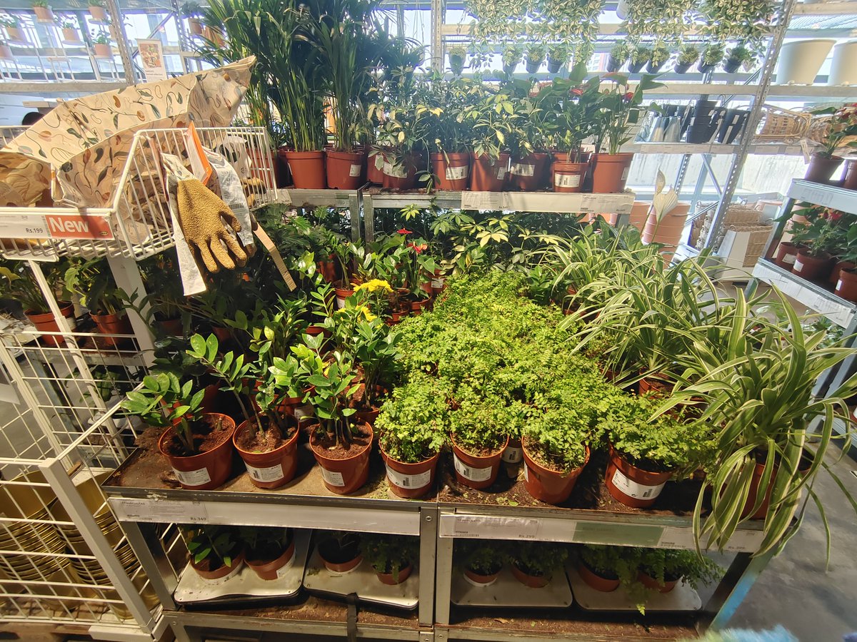SoOverThis_me's tweet photo. #IKEAStore Hyderabad https://t.co/R9xZgBQDLz