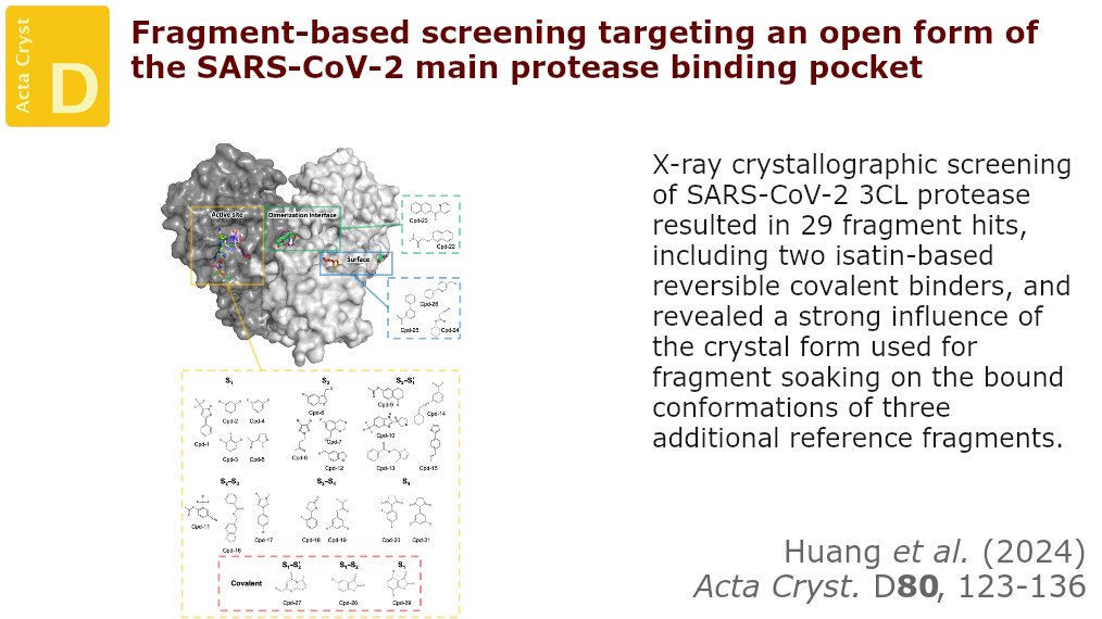 ActaCrystD's tweet photo. Fragment screening of the main protease target of SARS-CoV-2 with a binding pocket locked in a more open conformation identified new binding small molecules and showed that the same molecule can bind in different ways #FragmentScreening #SARSCoV2 https://t.co/fcCAG5jQCf https://t.co/Ah2AMmpR9r